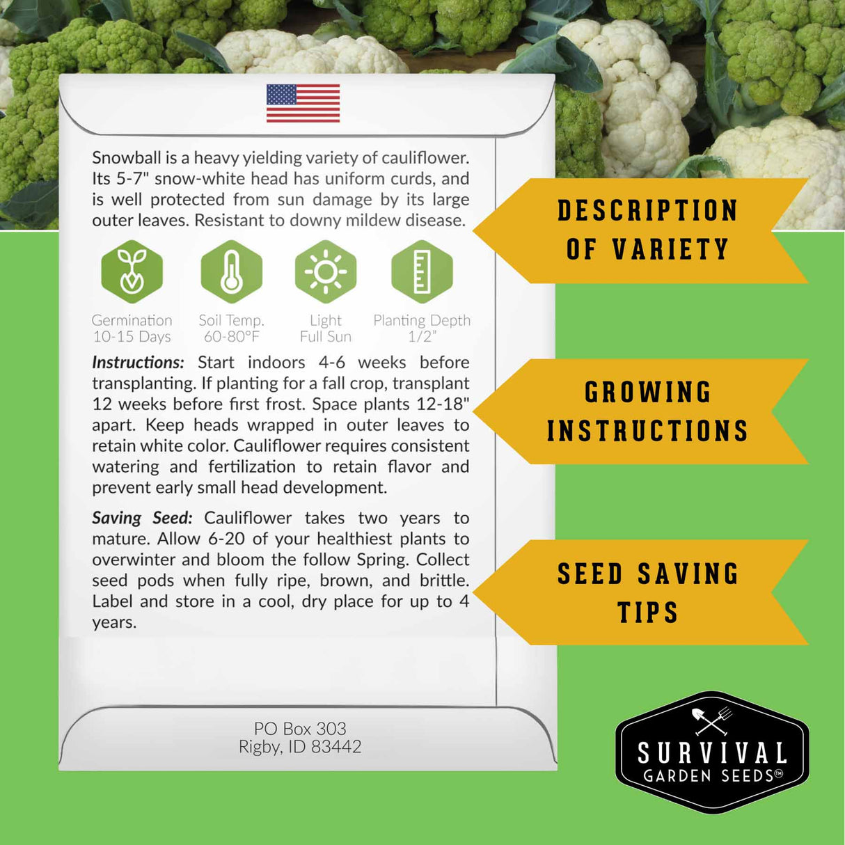 Survival Garden Seeds cauliflower seed packet with variety description, growing instructions, and seed saving tips on a green background with cauliflower images.