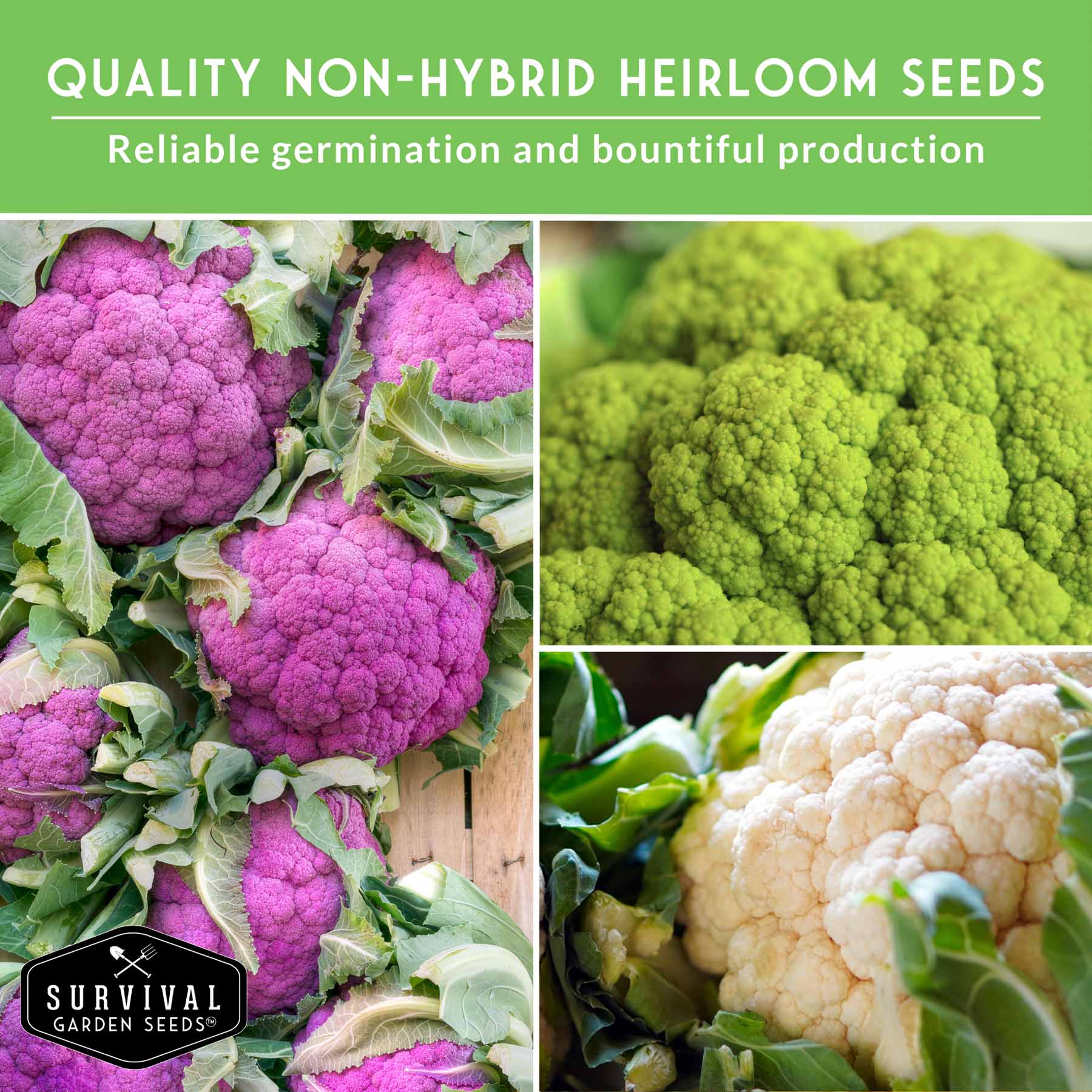 Heirloom Cauliflower Seed Collection (3 Varieties