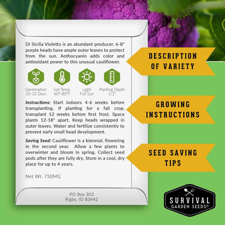 Informational seed packet for Di Sicilia Violetto cauliflower including growing and seed saving instructions.