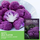 Sliced purple cauliflower with text that says Mild Nutty Flavor