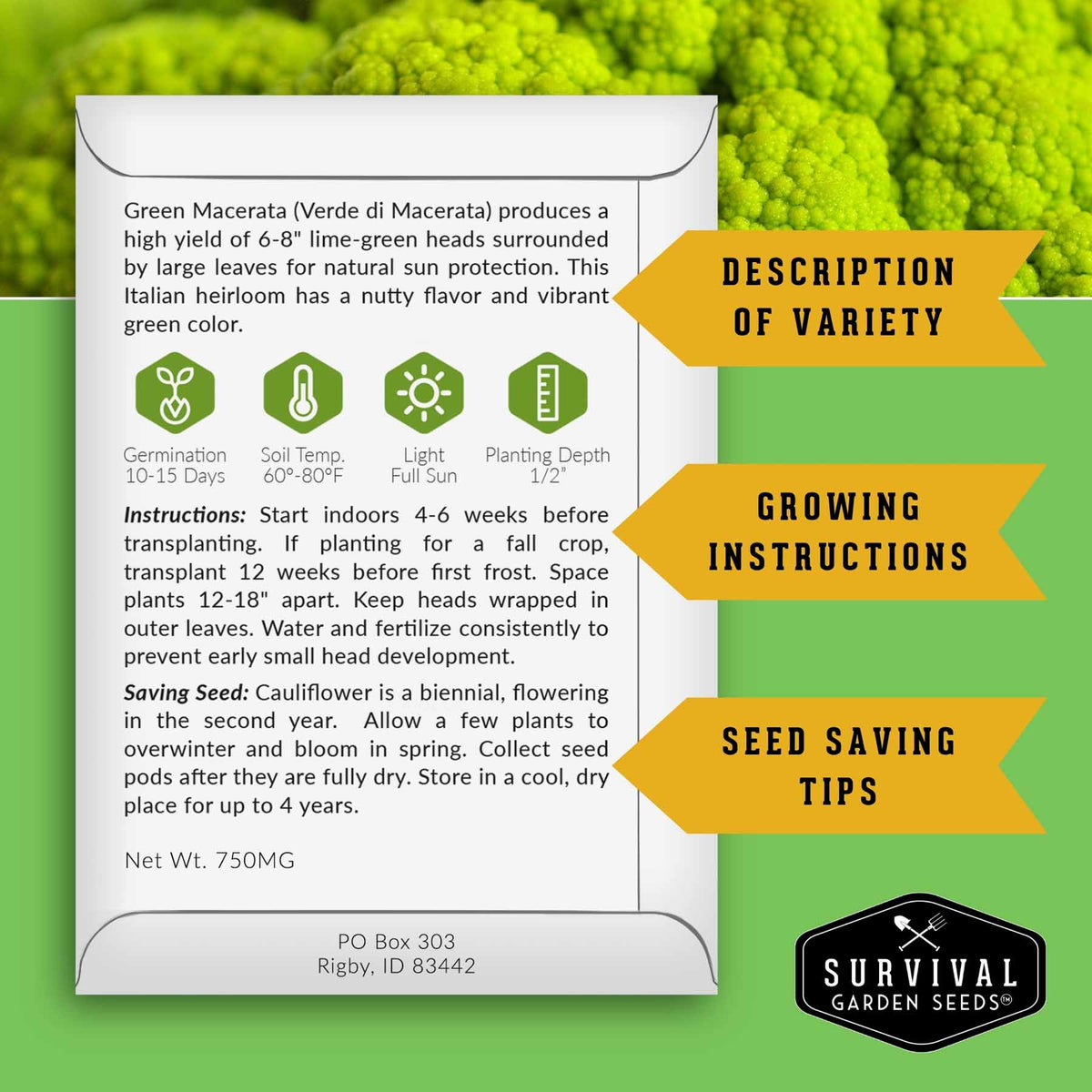 An informational product card for Survival Garden Seeds featuring text and icons for Green Macerata, with three yellow callout banners reading 'Description of Variety,' 'Growing Instructions,' and 'Seed Saving Tips,' set against a green leaf background.