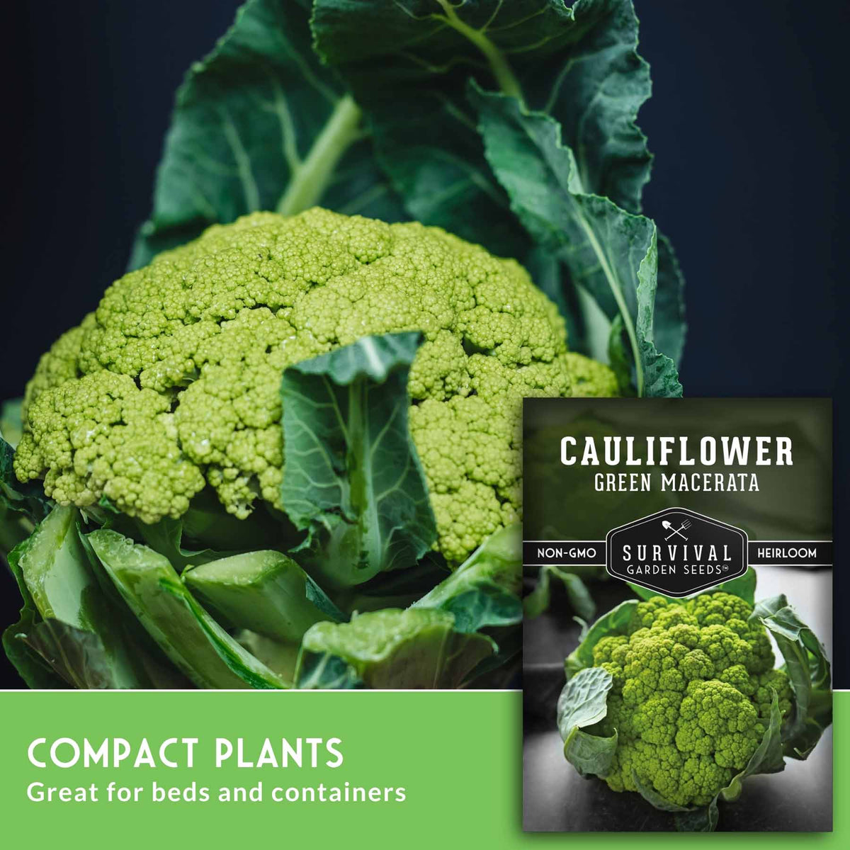 A close-up of a green cauliflower head with dark green leaves, alongside a seed packet labeled 'CAULIFLOWER GREEN MACERATA' and text reading 'COMPACT PLANTS Great for beds and containers.'.