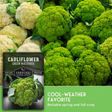 Seed packet for Survival Garden Seeds Cauliflower Green Macerata shown over a close-up photo of bright green cauliflower heads, with text reading 'COOL-WEATHER FAVORITE Reliable spring and fall crop.'.