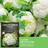Fresh snowball cauliflower heads with green leaves, alongside a seed packet labeled 'Cauliflower Snowball' and a green text panel reading 'Classic Mild Flavor' from Survival Garden Seeds.