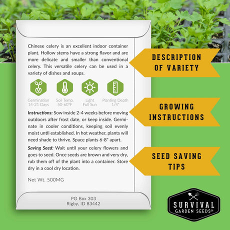 An informational product card for a Chinese celery indoor container plant from Survival Garden Seeds, featuring growing instructions, seed saving tips, and care icons on a green background with blooming celery plants.
