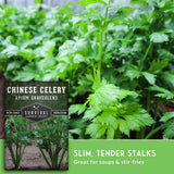 A close-up photo of fresh green Chinese celery leaves with a text overlay showing the product label 'Chinese Celery' and a green banner that reads 'Slim, Tender Stalks Great for soups & stir-fries'.