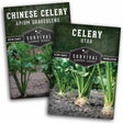 Celery seed collection - 2 packets of celery seeds