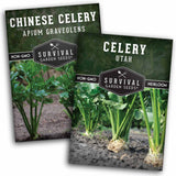 Celery seed collection - 2 packets of celery seeds