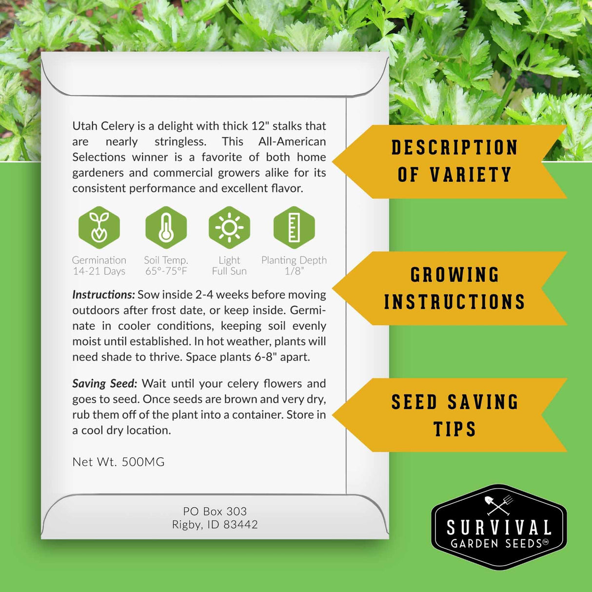 Informational back of packet with growing and seed saving instructions