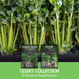 2 heirloom seed packets of celery