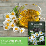 A glass cup filled with golden chamomile herbal tea sits on a rustic wooden surface beside white daisies. A seed packet labeled 'Chamomile German' and 'Survival Garden Seeds' is shown in the lower right, with text at the bottom reading 'Sweet Apple Scent' and 'Fragrant blooms for herbal tea.