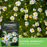 German chamomile flower seeds with a close-up of blooming chamomile flowers and a product label overlay reading 'CHAMOMILE GERMAN' and 'BLOOMS GENEROUSLY'.