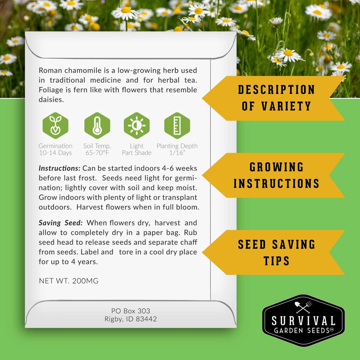 Informational seed packet back with growing and seed saving instructions