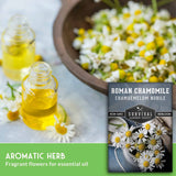 bowl of chamomile flowers with text that says Aromatic Herb