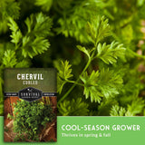 Chervil curled seed packet shown over a close-up photo of fresh green chervil leaves, with text reading 'Chervil Curled' and 'Cool-Season Grower' from Survival Garden Seeds.