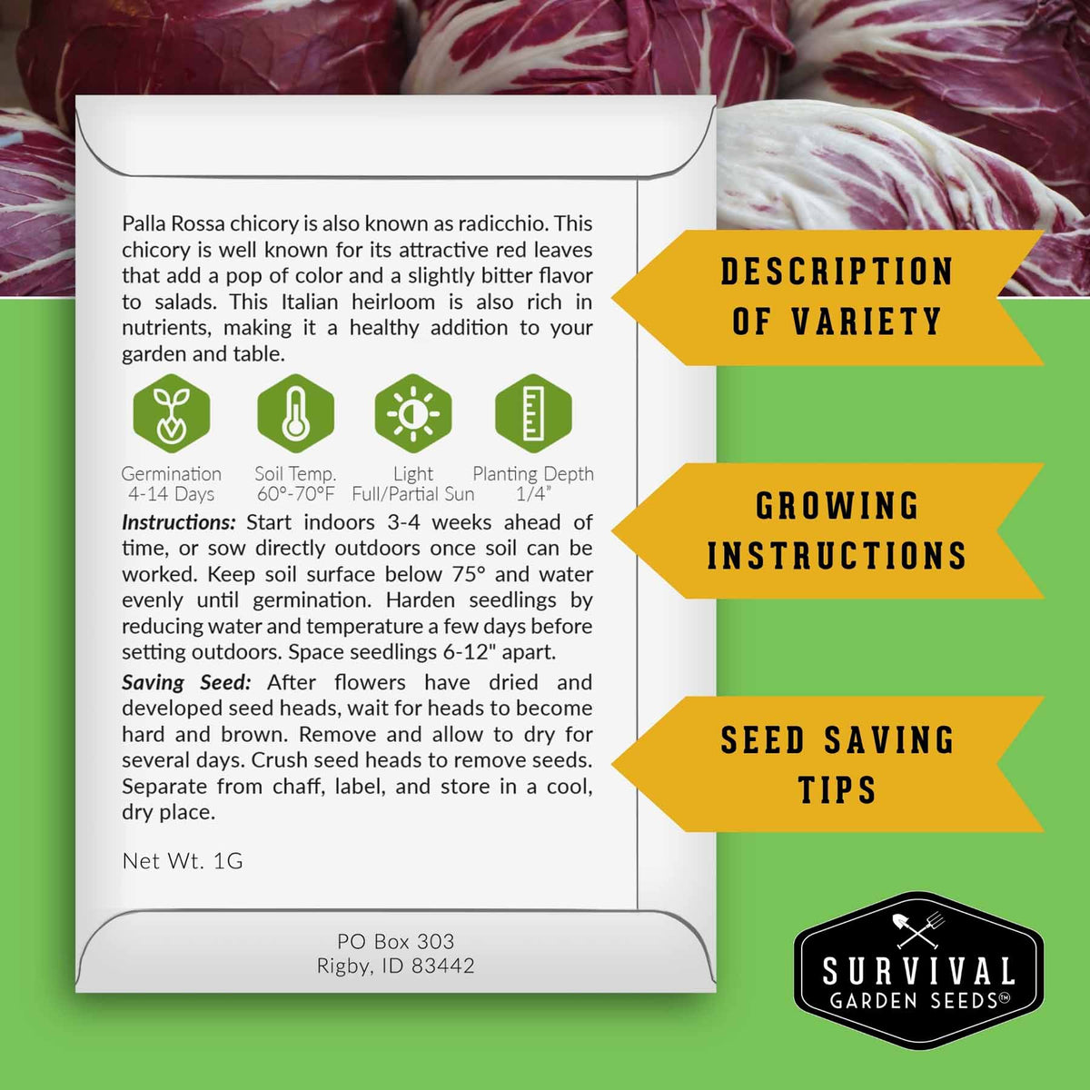 An informational product card for Palla Rossa chicory from Survival Garden Seeds, set against a background of fresh red chicory leaves. The card features product details, growing instructions, and seed-saving tips, with yellow callout arrows pointing to 'Description of Variety', 'Growing Instructions', and 'Seed Saving Tips'.