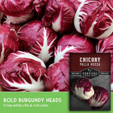 A close-up pile of fresh chicory leaves with deep burgundy-red and white marbling, plus a seed packet labeled 'Chicory Palla Rossa' and text reading 'Bold Burgundy Heads.' This is not a clean standalone product shot because the produce fills the frame and promotional text overlays are present, but there is no person or real environment; the best fit is Product/Packaging rather than Lifestyle or auxiliary categories.