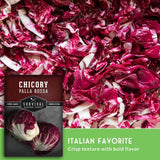 Seed packet for Survival Garden Seeds 'Chicory Palla Rossa' overlaid on a close-up photo of shredded red and white chicory, with a green banner reading 'Italian Favorite' and 'Crisp texture with bold flavor.'.