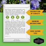A product information card for Root Chicory seed from Survival Garden Seeds, detailing variety description, growing instructions, and seed-saving tips on a green and orange background.