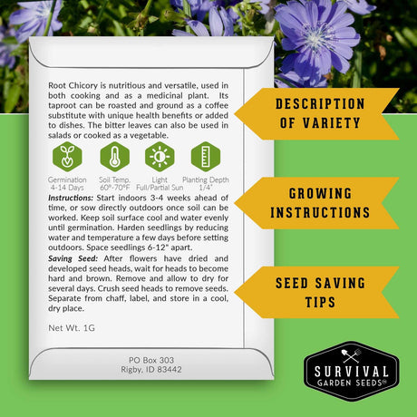 A product information card for Root Chicory seed from Survival Garden Seeds, detailing variety description, growing instructions, and seed-saving tips on a green and orange background.