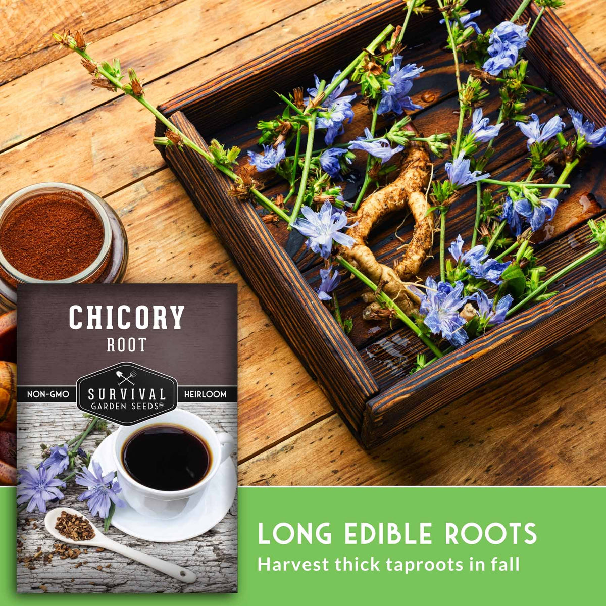 Seed packet for Survival Garden Seeds Chicory Root shown beside a wooden tray holding blue chicory flowers and roots on a rustic wood surface, with text reading 'LONG EDIBLE ROOTS Harvest thick taproots in fall.'.