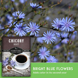 Seed packet for Survival Garden Seeds 'Chicory Root' overlaid on a background of blooming blue chicory flowers, with a green banner at the bottom reading 'BRIGHT BLUE FLOWERS Adds color in its second year'.