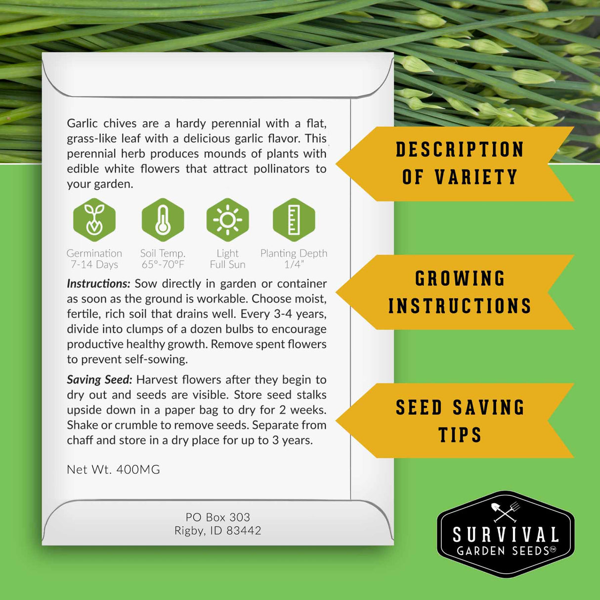 Seed packet for garlic chives with growing instructions and seed saving tips on a green background.