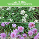 Herbs with green leaves and white flowers, and pink flowers on a green background.