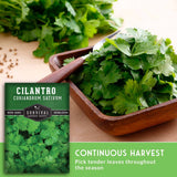A seed packet labeled 'CILANTRO CORIANDRUM SATIVUM' by Survival Garden Seeds is shown beside a wooden bowl filled with fresh cilantro leaves on a light surface. Text at the bottom reads 'CONTINUOUS HARVEST' and 'Pick tender leaves throughout the season.