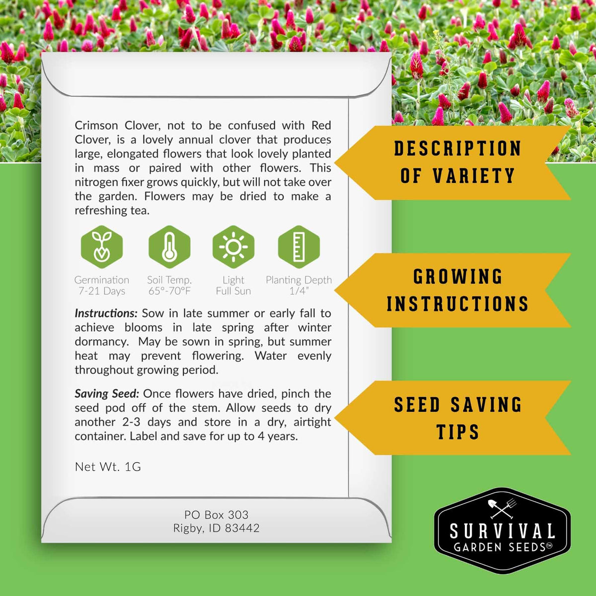 A product information card for Survival Garden Seeds' Crimson Clover, featuring growing instructions, seed saving tips, and care icons on a green background with blooming flowers.