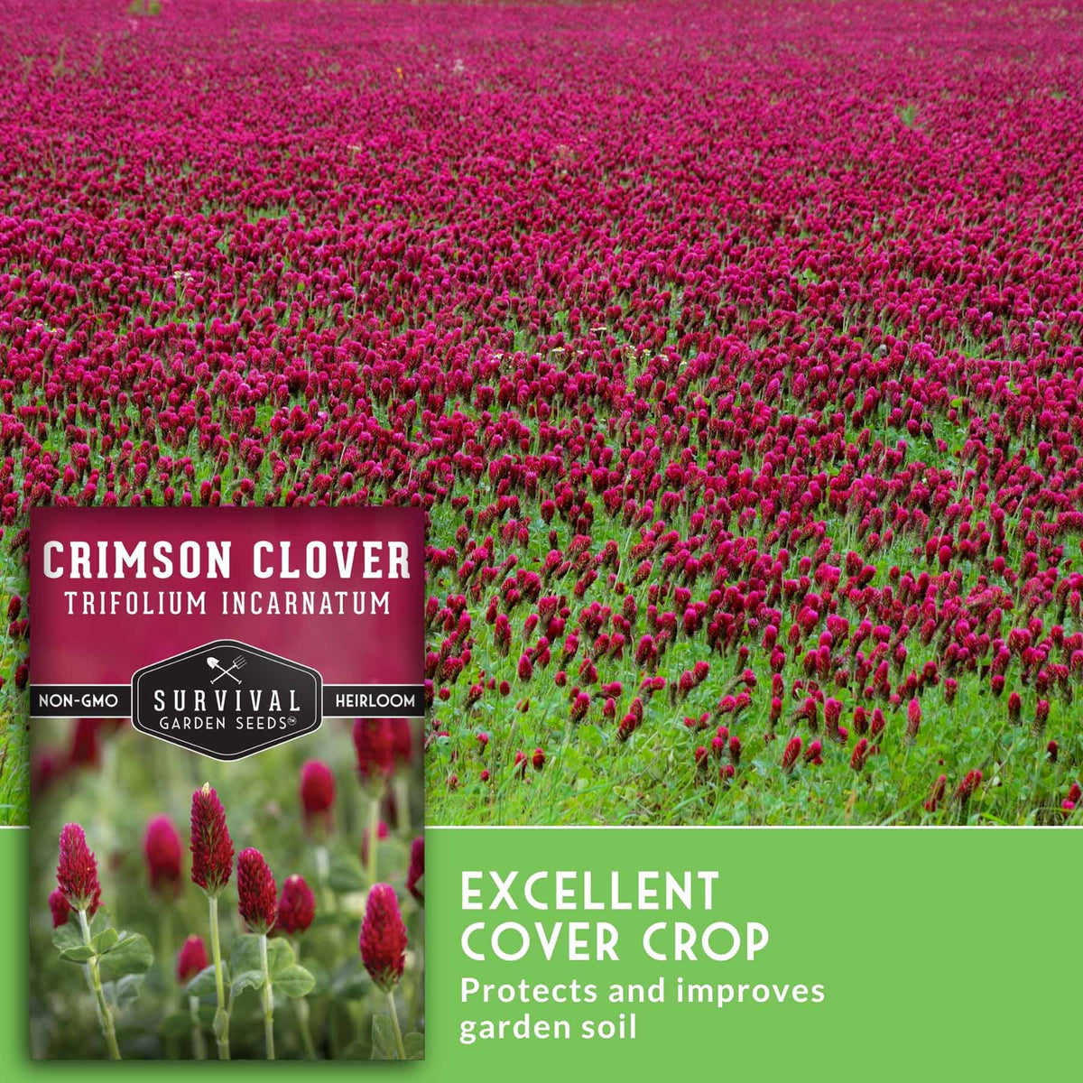 Seed packet for Survival Garden Seeds Crimson Clover (Trifolium Incarnatum), showing a field of blooming pinkish-red clover, a close-up of the seed heads, and text overlays.