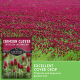 Seed packet for Survival Garden Seeds Crimson Clover (Trifolium Incarnatum), showing a field of blooming pinkish-red clover, a close-up of the seed heads, and text overlays.