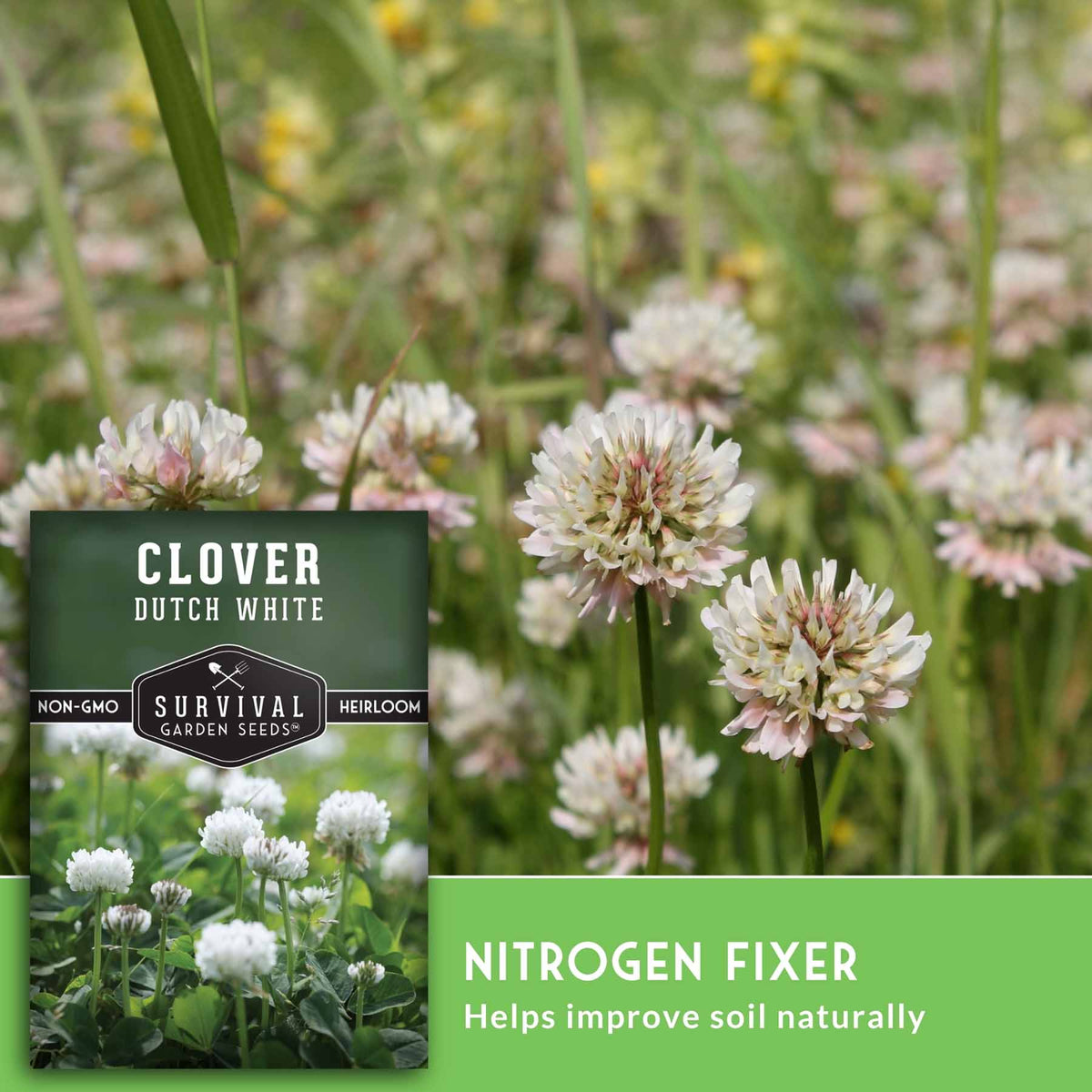 Seed packet for Clover Dutch White herloom by Survival Garden Seeds, shown over a background photo of blooming white clover flowers in a field, with a green banner reading 'NITROGEN FIXER'.
