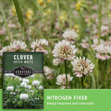 Seed packet for Clover Dutch White herloom by Survival Garden Seeds, shown over a background photo of blooming white clover flowers in a field, with a green banner reading 'NITROGEN FIXER'.