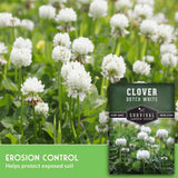 Seed packet for Clover Dutch White heirloom seeds, shown over a photo of white clover flowers in a green field. Text on the image highlights erosion control benefits.