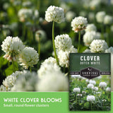 White clover blooms in a garden with a product label overlay for Clover Dutch White Survival Garden Seeds.