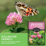 Butterfly on a pink clover flower with a seed packet labeled 'Red Clover' in the corner.