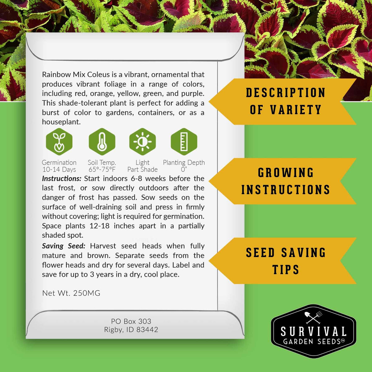 A digital graphic displaying a seed packet label for 'Rainbow Mix Coleus' from Survival Garden Seeds, surrounded by green and yellow Coleus leaves. The label contains product details, growing instructions, and seed-saving tips, with callout arrows pointing to 'Description of Variety', 'Growing Instructions', and 'Seed Saving Tips'.