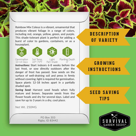 A digital graphic displaying a seed packet label for 'Rainbow Mix Coleus' from Survival Garden Seeds, surrounded by green and yellow Coleus leaves. The label contains product details, growing instructions, and seed-saving tips, with callout arrows pointing to 'Description of Variety', 'Growing Instructions', and 'Seed Saving Tips'.