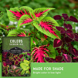 Coleus rainbow mix seed packet shown over a close-up photo of colorful coleus leaves in green, pink, and burgundy, with text reading 'MADE FOR SHADE' and 'Bright color in low light.'.