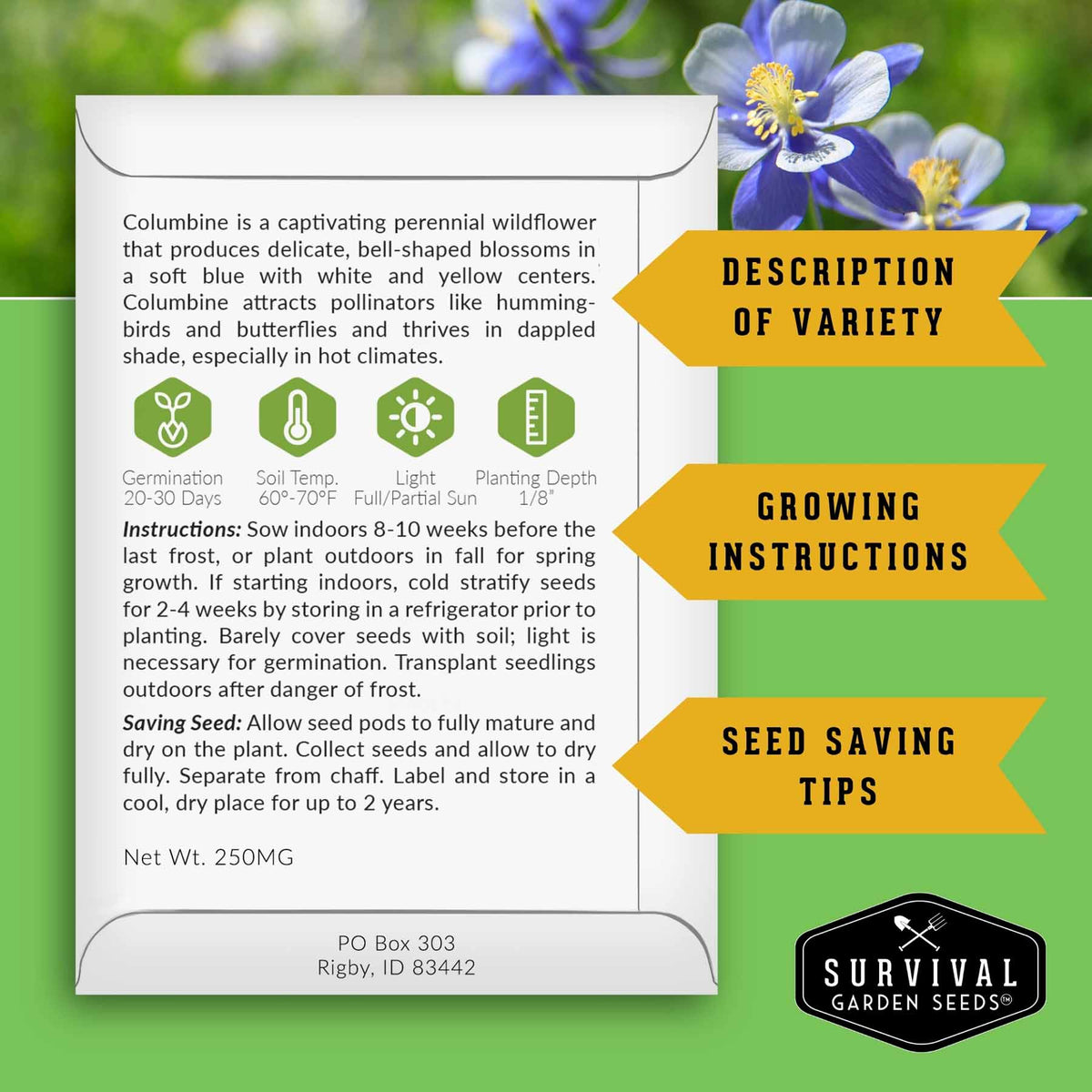 An informational product graphic for Columbine seeds from Survival Garden Seeds, featuring a white card with planting instructions, icons, and variety description, alongside yellow banners with growing tips and a background of blue columbine flowers on a green textured backdrop.