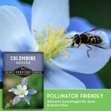 Seed packet for Columbine Aquilegia shown over a close-up photo of a bee on a blue columbine flower, with text noting pollinator-friendly attributes.