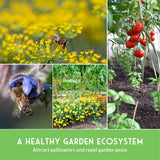 Collage of garden scenes with flowers, tomatoes, and bees, promoting a healthy garden ecosystem.