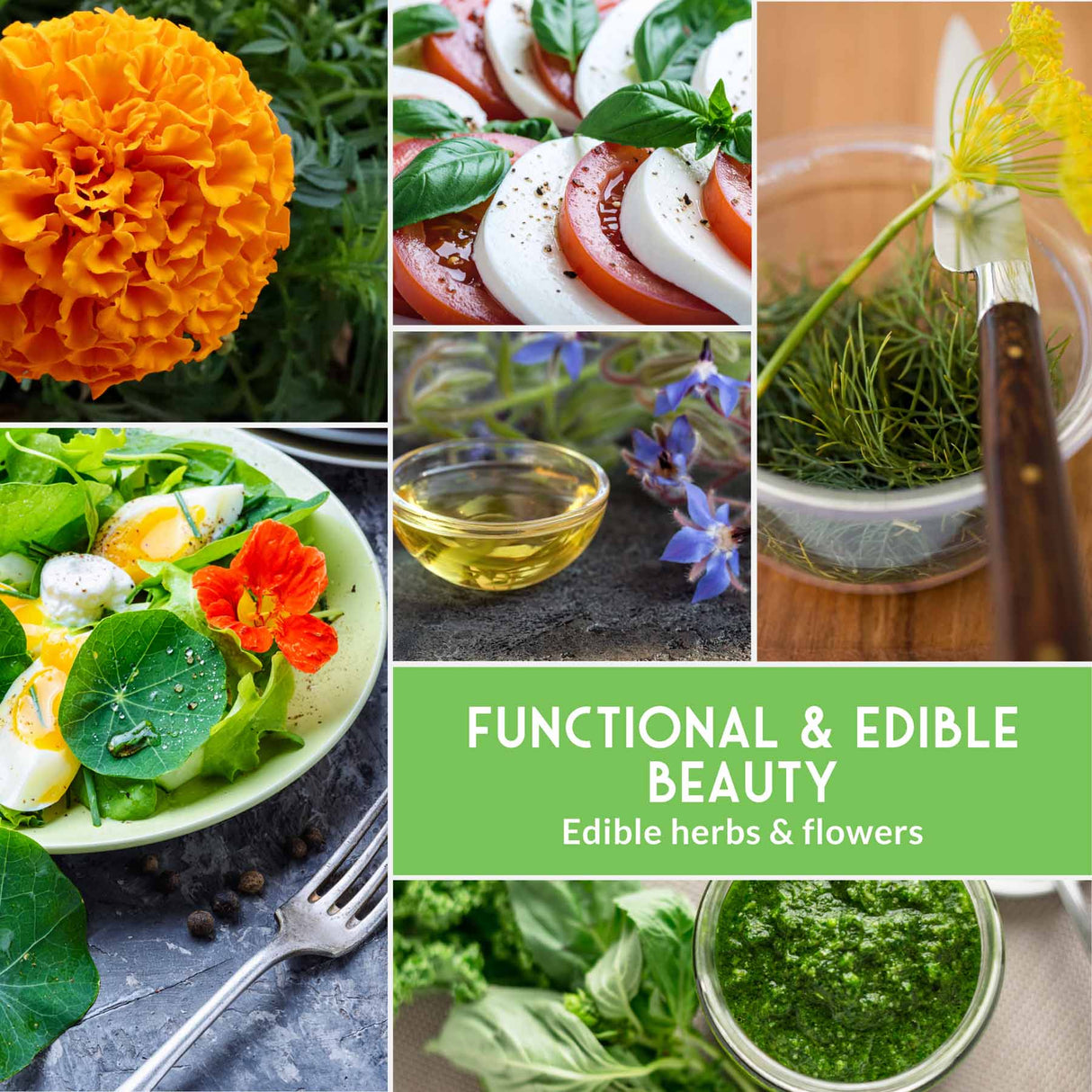 Collage of images featuring edible herbs, flowers, and dishes with text 'Functional & Edible Beauty'.
