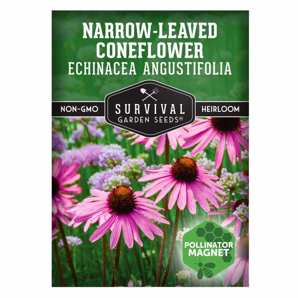 1 Packet of Narrow-Leaved Coneflower Seeds