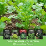 Heirloom seed packets for cool weather vegetables with a green plant in the background.