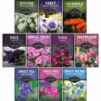 A 10-pack assortment of Survival Garden Seeds herb and flower mixes, featuring colorful seed packet covers for Alyssum, Pansy, Calendula, Kale, Annual Phlox, Stock, Snapdragon, Sweet Pea, and Forget Me Not.