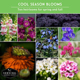 A promotional collage for 'Cool Season Blooms' by Survival Garden Seeds, featuring ten different flower varieties suitable for spring and fall. The collage includes pink snapdragons, purple flowers, dark purple kale-like foliage, blue flowers, a large orange coneflower, pink waxflowers, white flowers, and pink/purple flowers.