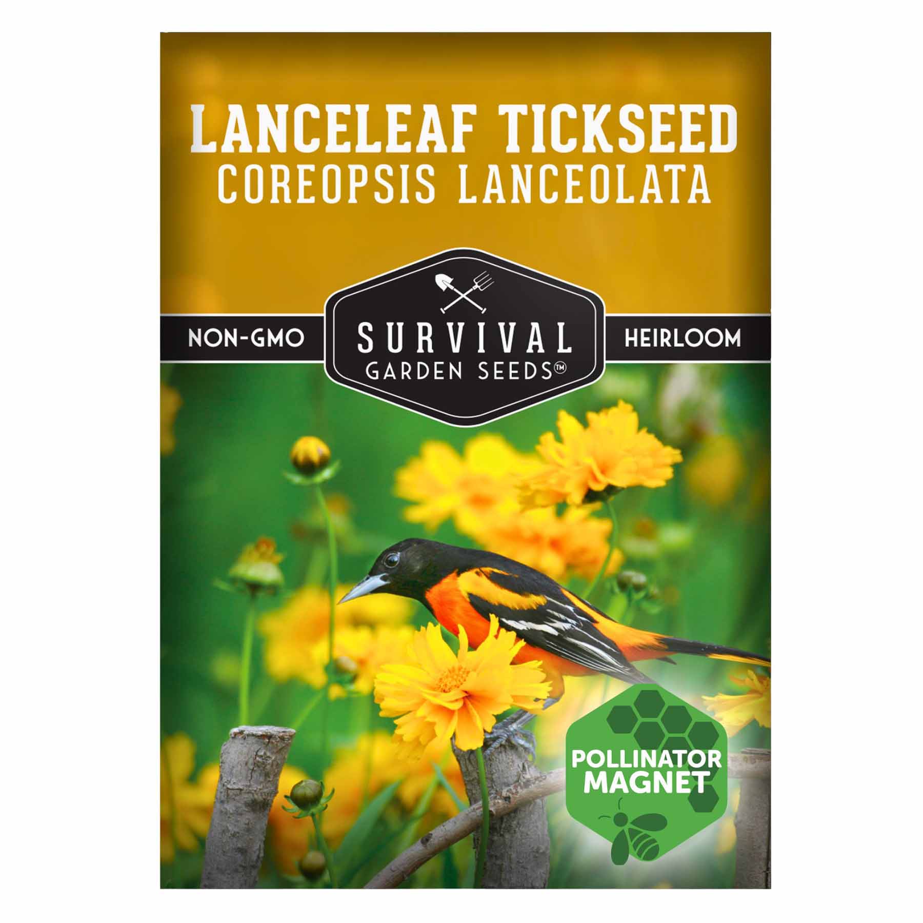 SEED  Lanceleaf Tickseed – Native Coreopsis Seeds – SurvivalGardenSeeds