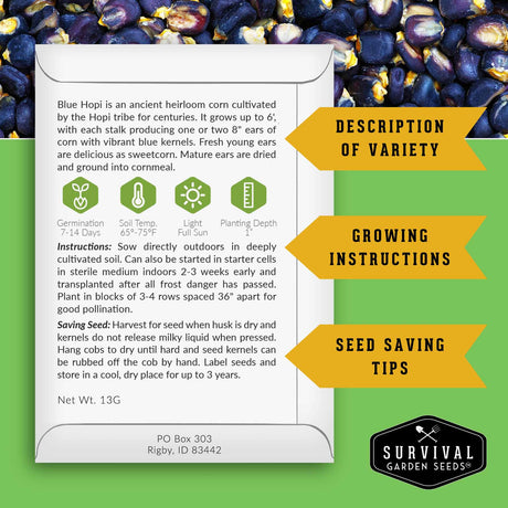 Survival Garden Seeds packaging for Blue Hopi corn with text and branding.